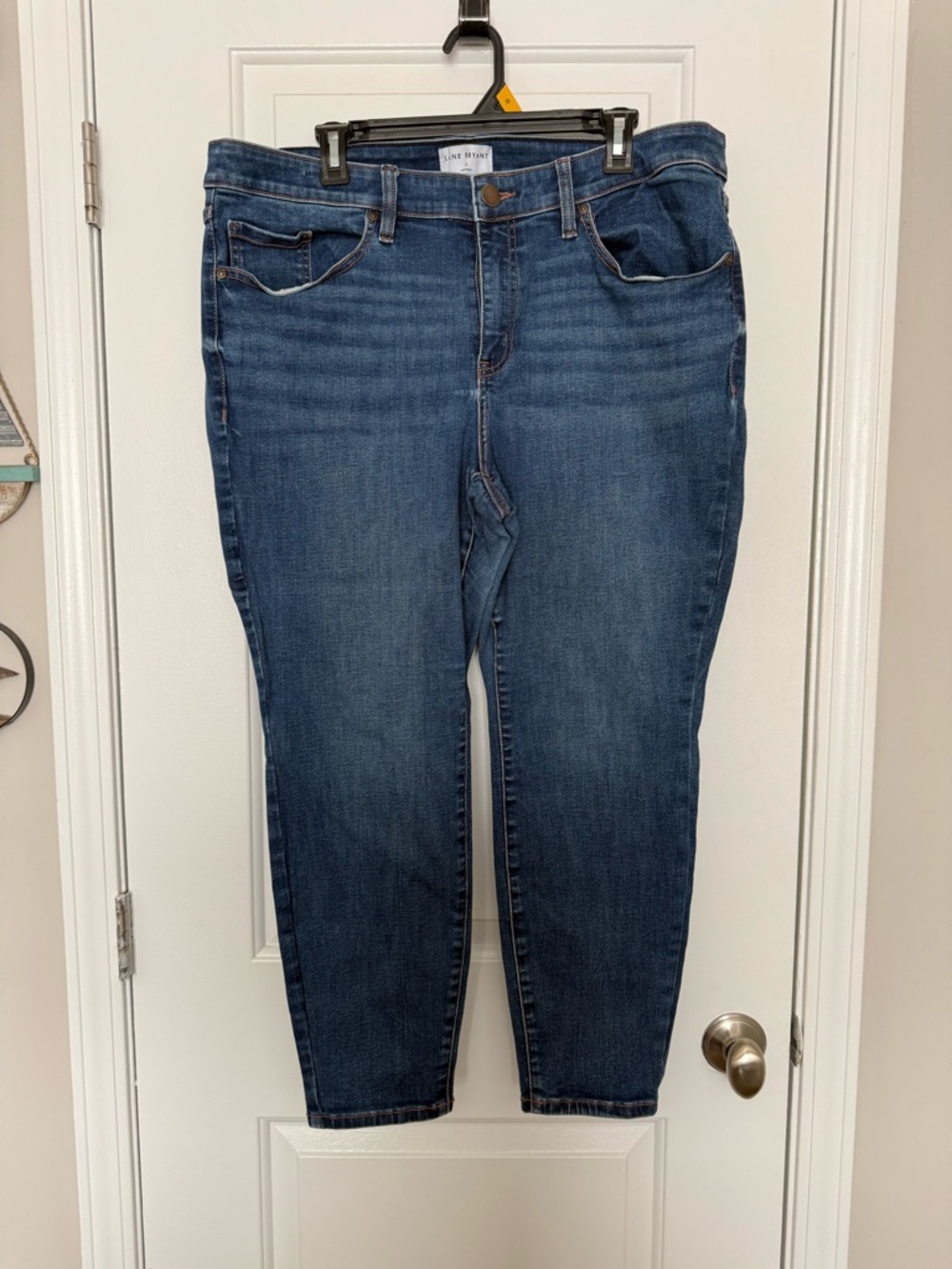 Lane Bryant Skinny Jeans in Dark Blue Wash